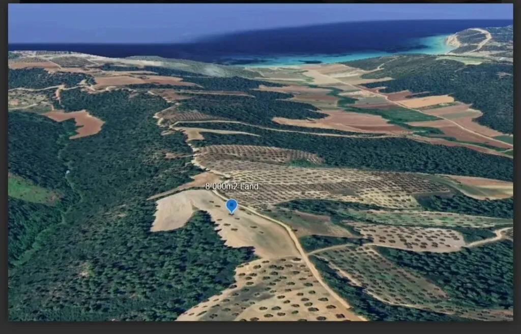 οικόπεδο προς πώληση 8000 τ.μ Κασσάνδρα Χαλκιδική