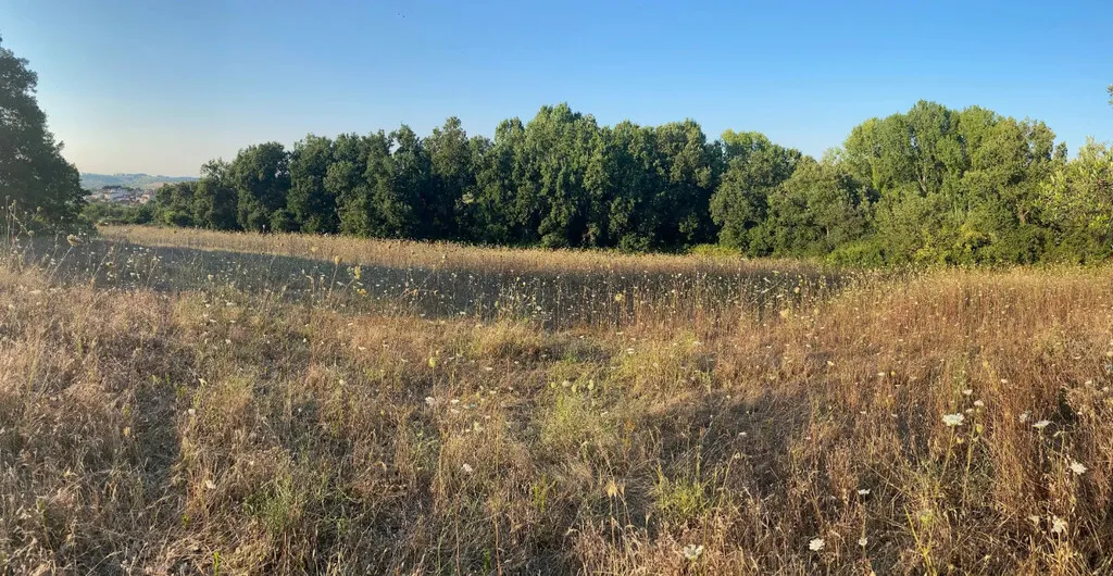 οικόπεδο προς πώληση 6159 τ.μ Κασσάνδρα Χαλκιδική