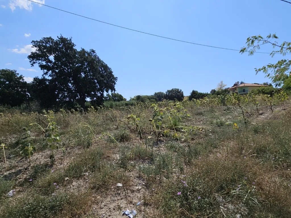οικόπεδο προς πώληση 1000 τ.μ Κασσάνδρα Χαλκιδική