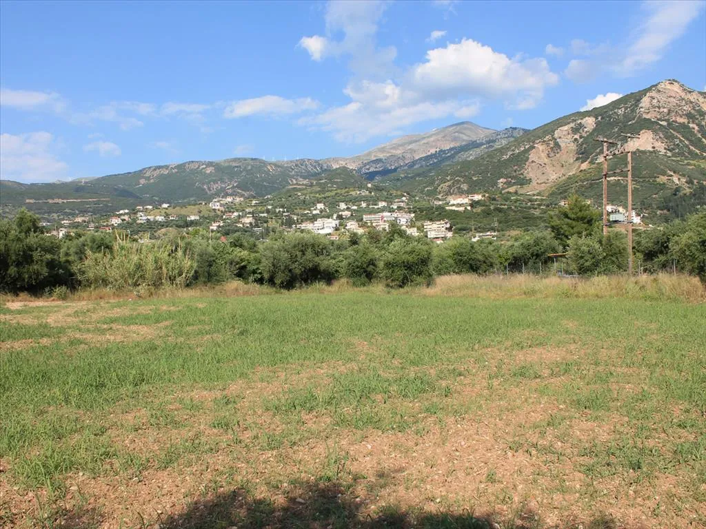 οικόπεδο προς πώληση 5800 τ.μ  Αχαΐα