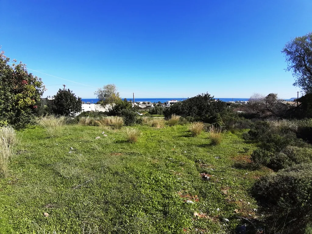 οικόπεδο προς πώληση 14000 τ.μ Μάλια Νομός Ηρακλείου