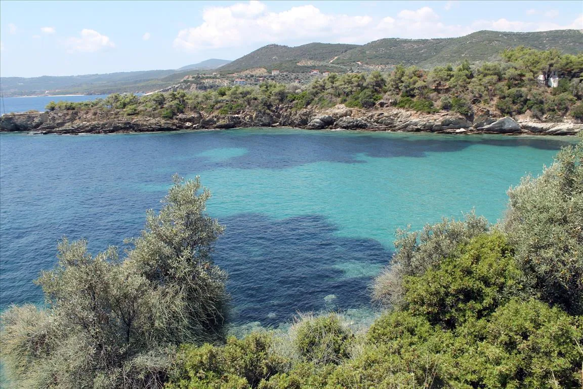 οικόπεδο προς πώληση 16500 τ.μ Αριστοτέλης Χαλκιδική