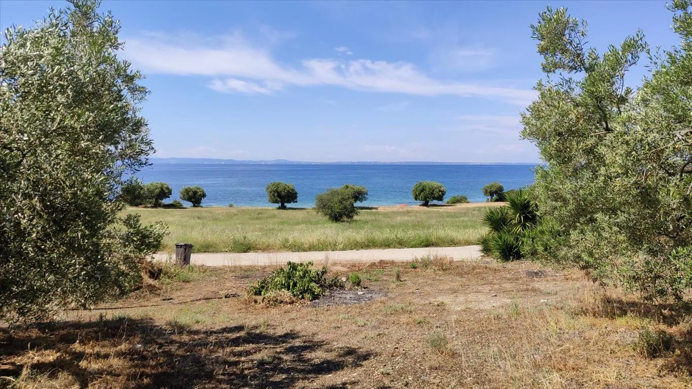 οικόπεδο προς πώληση 13750 τ.μ Πολύγυρος Χαλκιδική