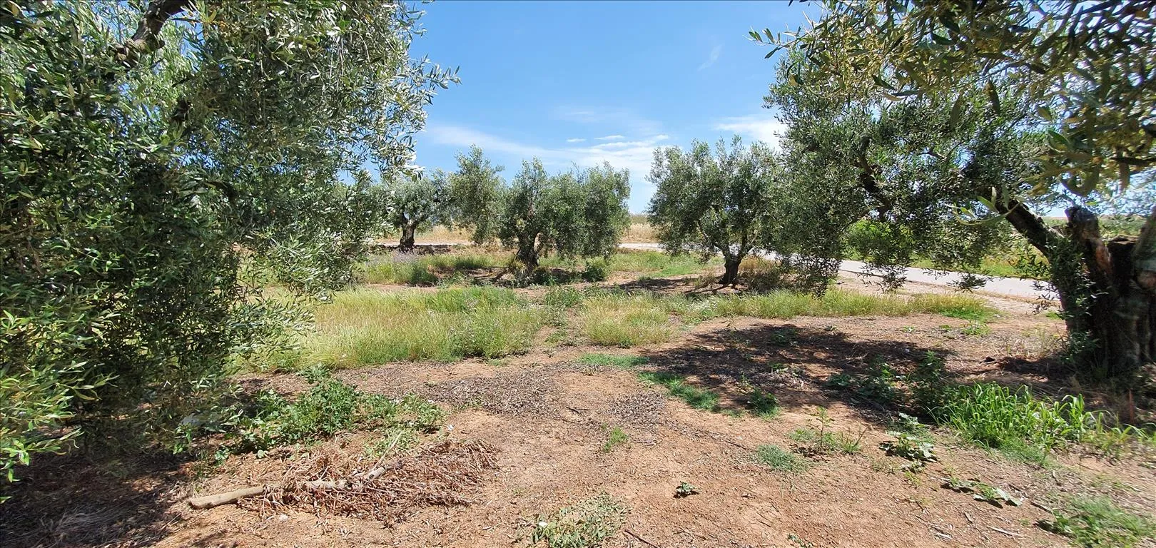 οικόπεδο προς πώληση 4686 τ.μ Νέα Προποντίδα Χαλκιδική