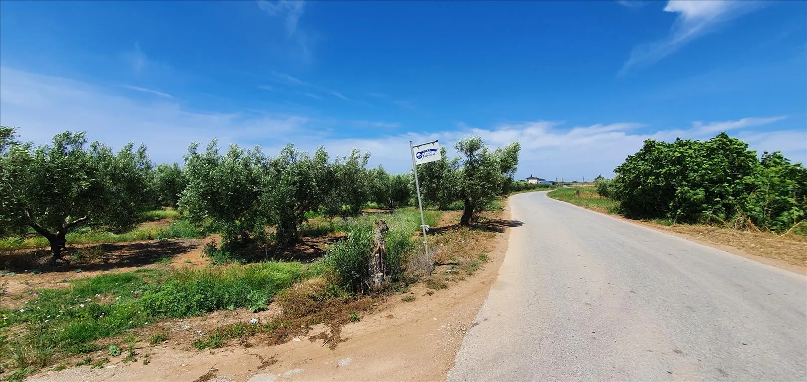 οικόπεδο προς πώληση 4686 τ.μ Νέα Προποντίδα Χαλκιδική