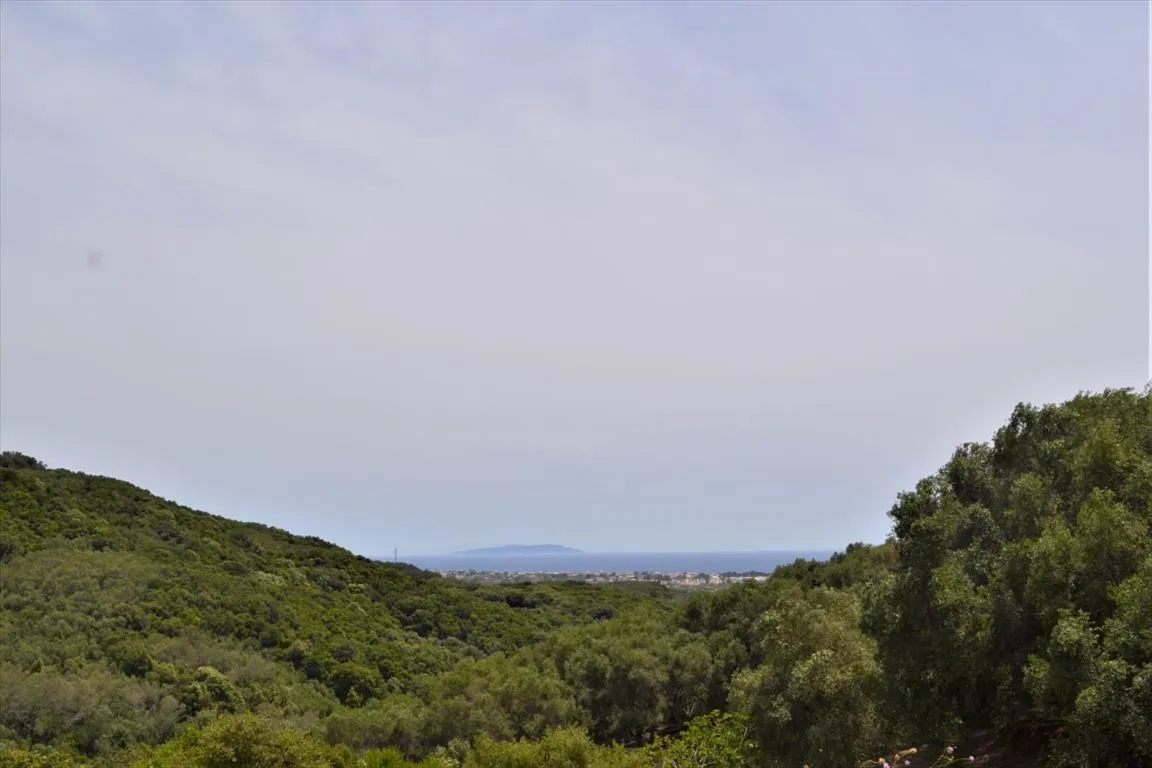 οικόπεδο προς πώληση 12000 τ.μ Κέρκυρα Νομός Κέρκυρας