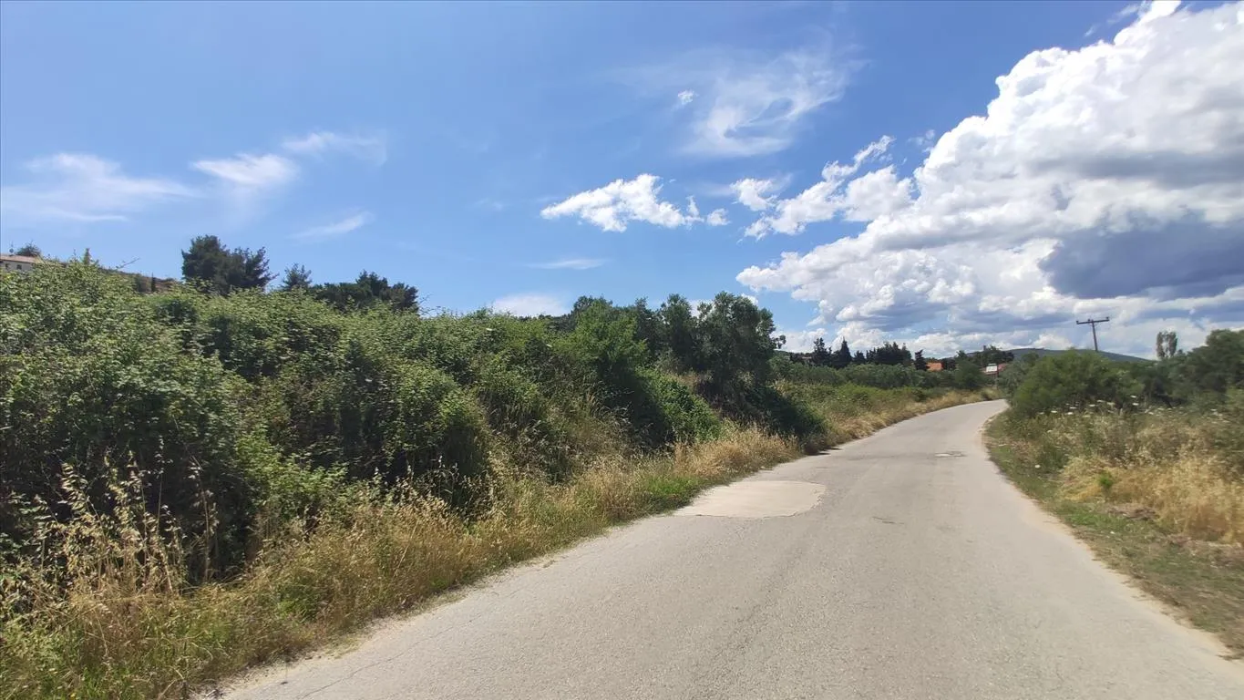 οικόπεδο προς πώληση 20000 τ.μ Σιθωνία Χαλκιδική
