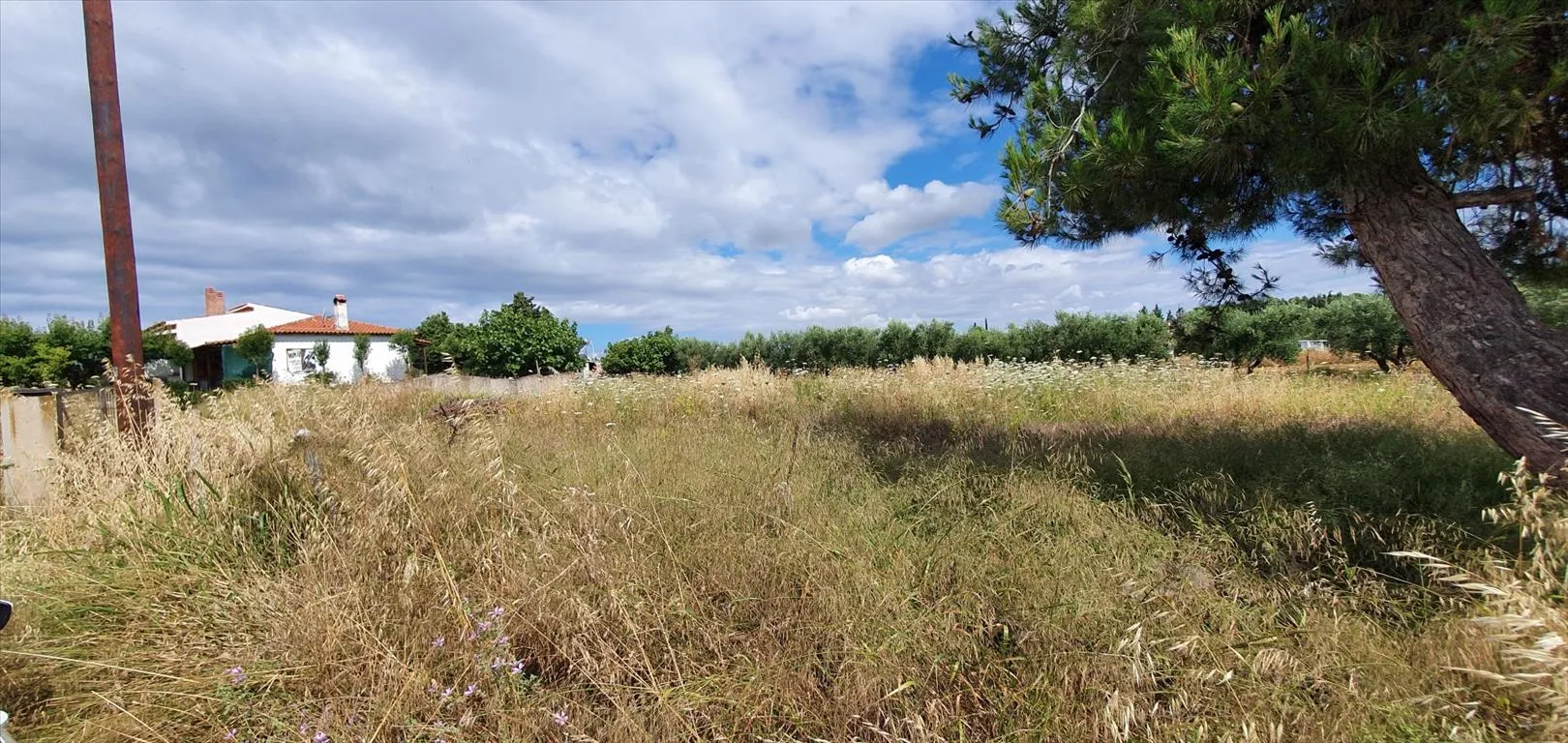 οικόπεδο προς πώληση 2025 τ.μ Κασσάνδρα Χαλκιδική