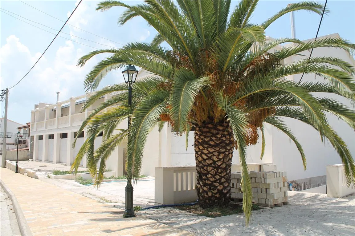 επιχείρηση προς πώληση 1545 τ.μ Κέρκυρα Νομός Κέρκυρας