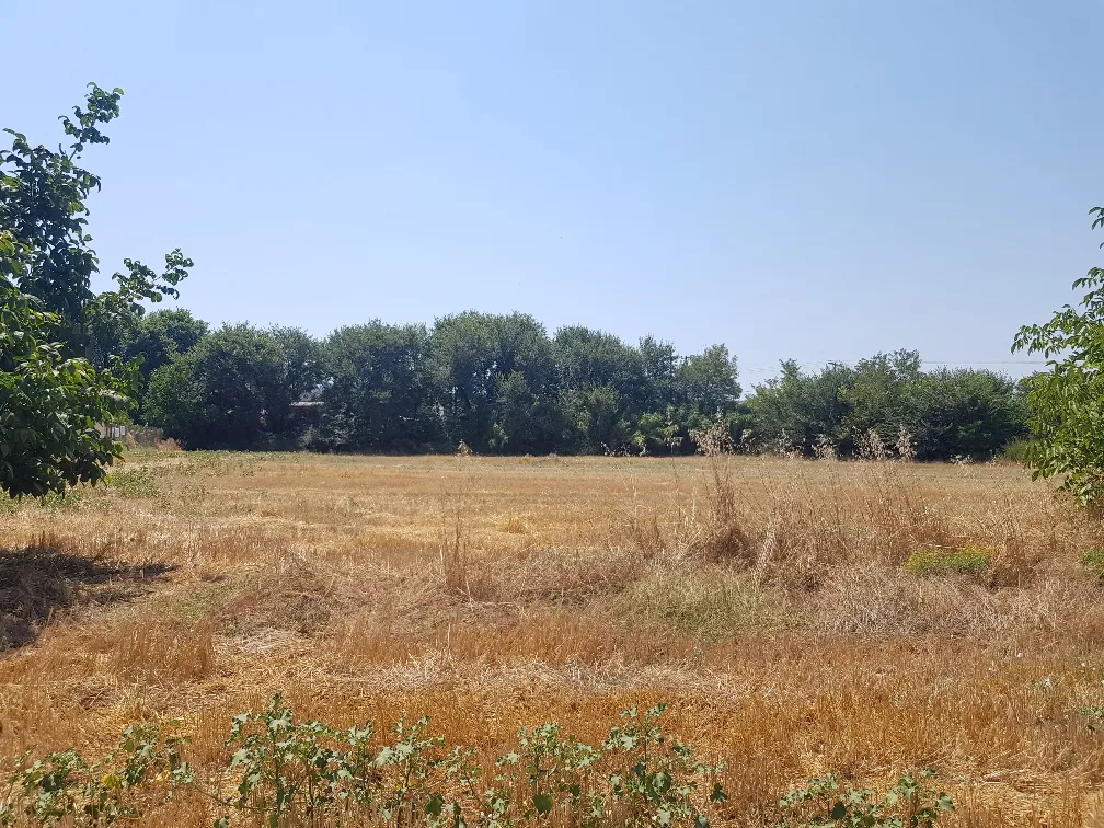 οικόπεδο προς πώληση 7500 τ.μ Κασσάνδρα Χαλκιδική