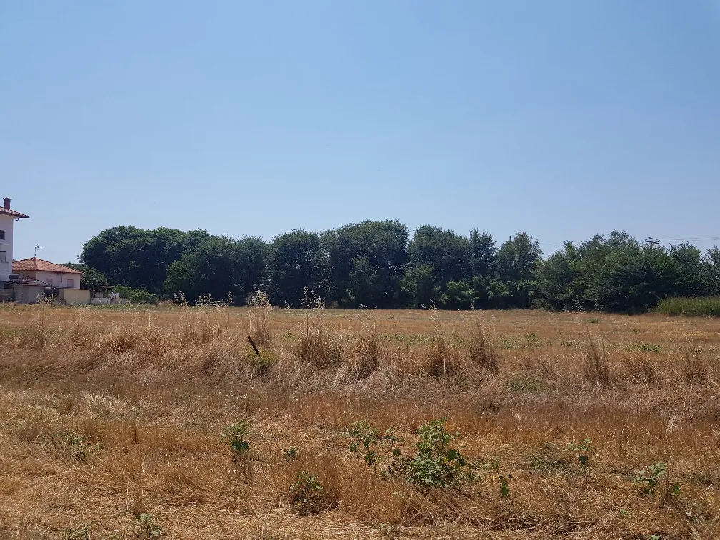 οικόπεδο προς πώληση 7500 τ.μ Κασσάνδρα Χαλκιδική