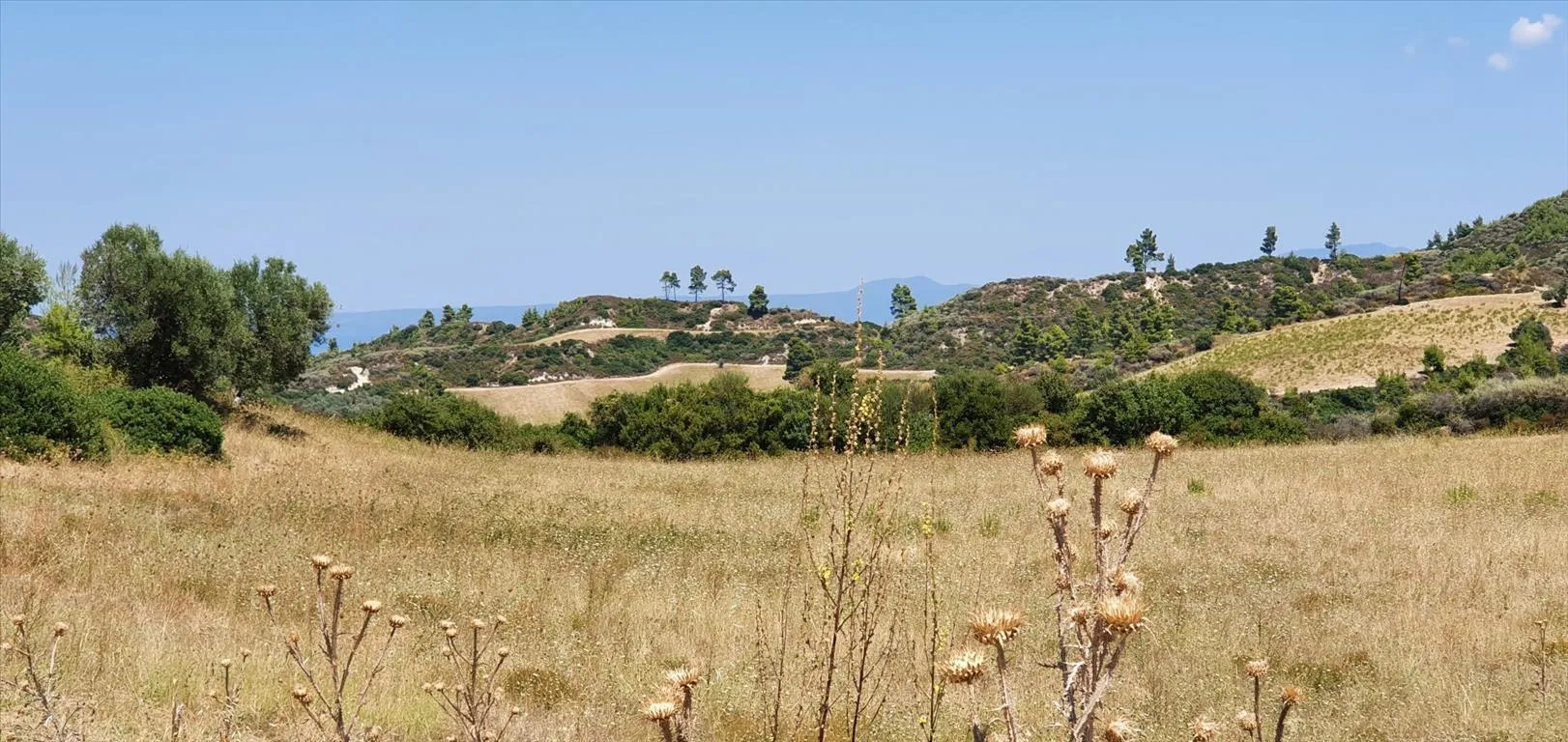 οικόπεδο προς πώληση 30000 τ.μ Κασσάνδρα Χαλκιδική