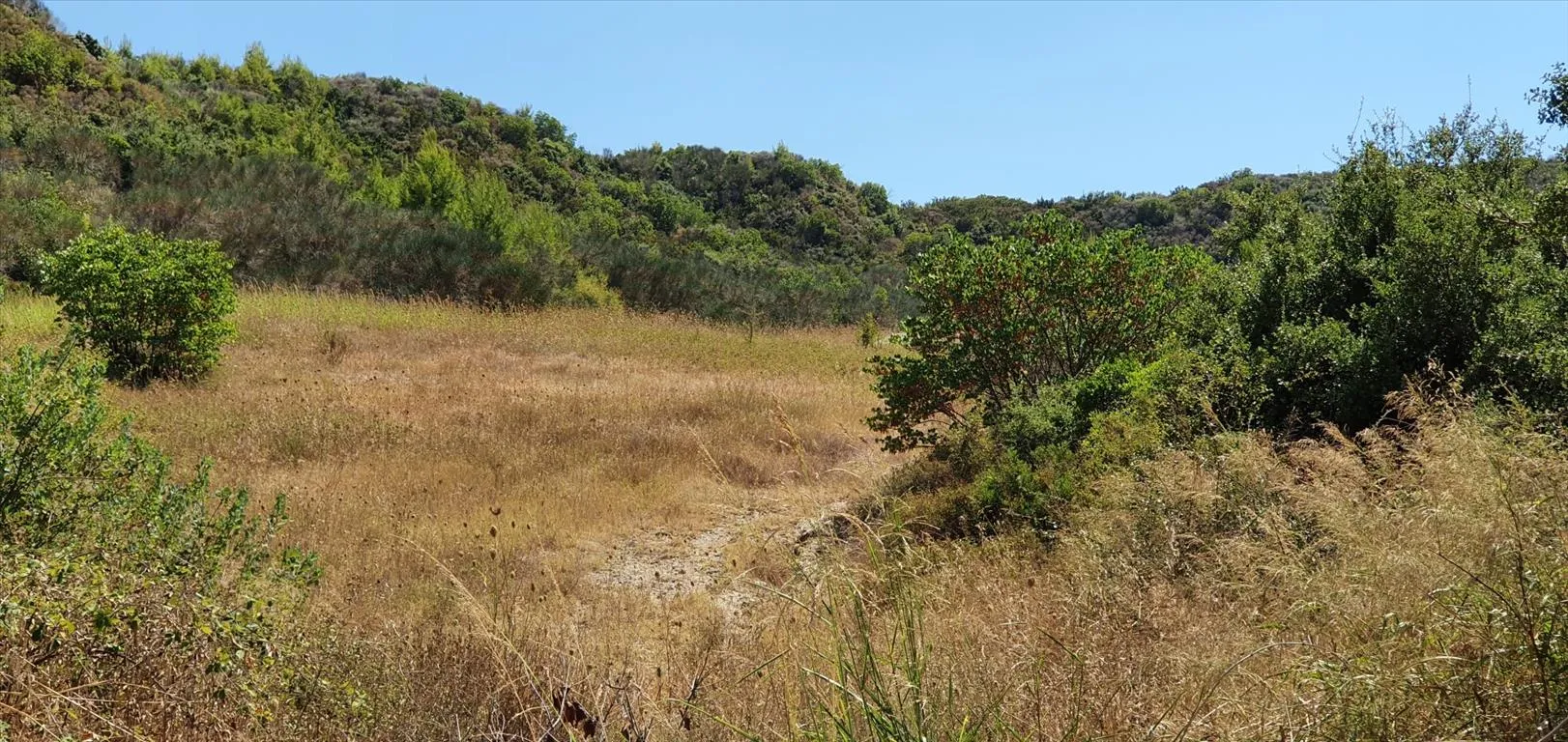 οικόπεδο προς πώληση 10250 τ.μ Κασσάνδρα Χαλκιδική