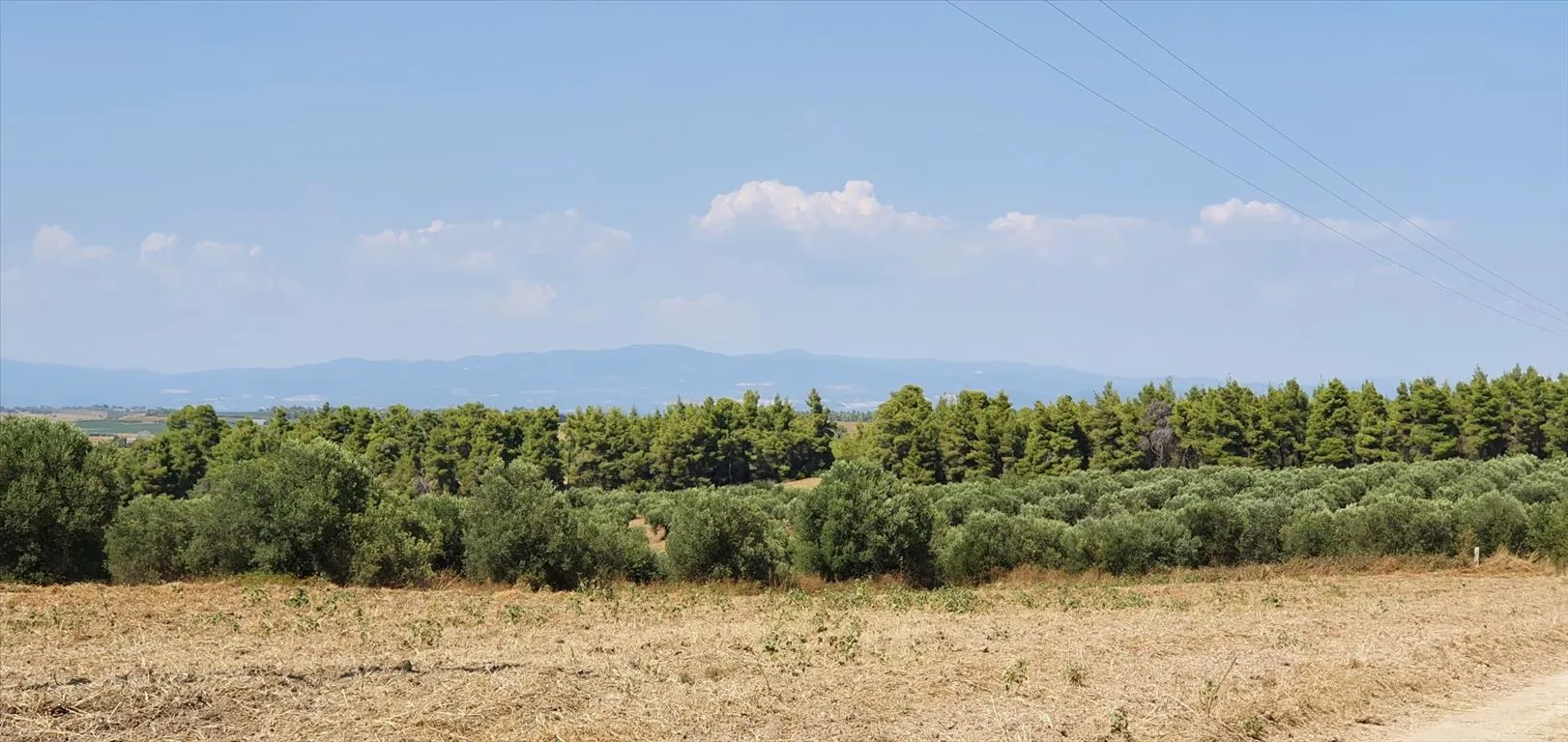οικόπεδο προς πώληση 30000 τ.μ Κασσάνδρα Χαλκιδική