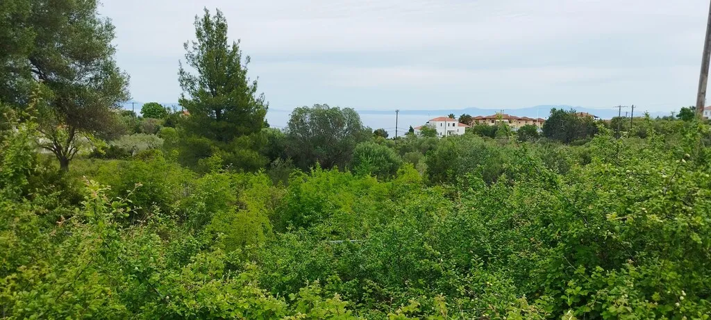 οικόπεδο προς πώληση 2417 τ.μ Κασσάνδρα Χαλκιδική