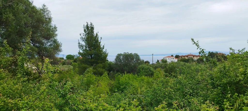 οικόπεδο προς πώληση 2417 τ.μ Κασσάνδρα Χαλκιδική