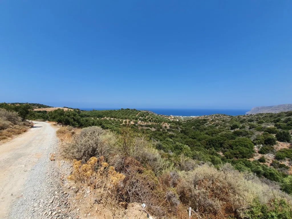 οικόπεδο προς πώληση 9363 τ.μ Νεάπολη Νομός Λασιθίου