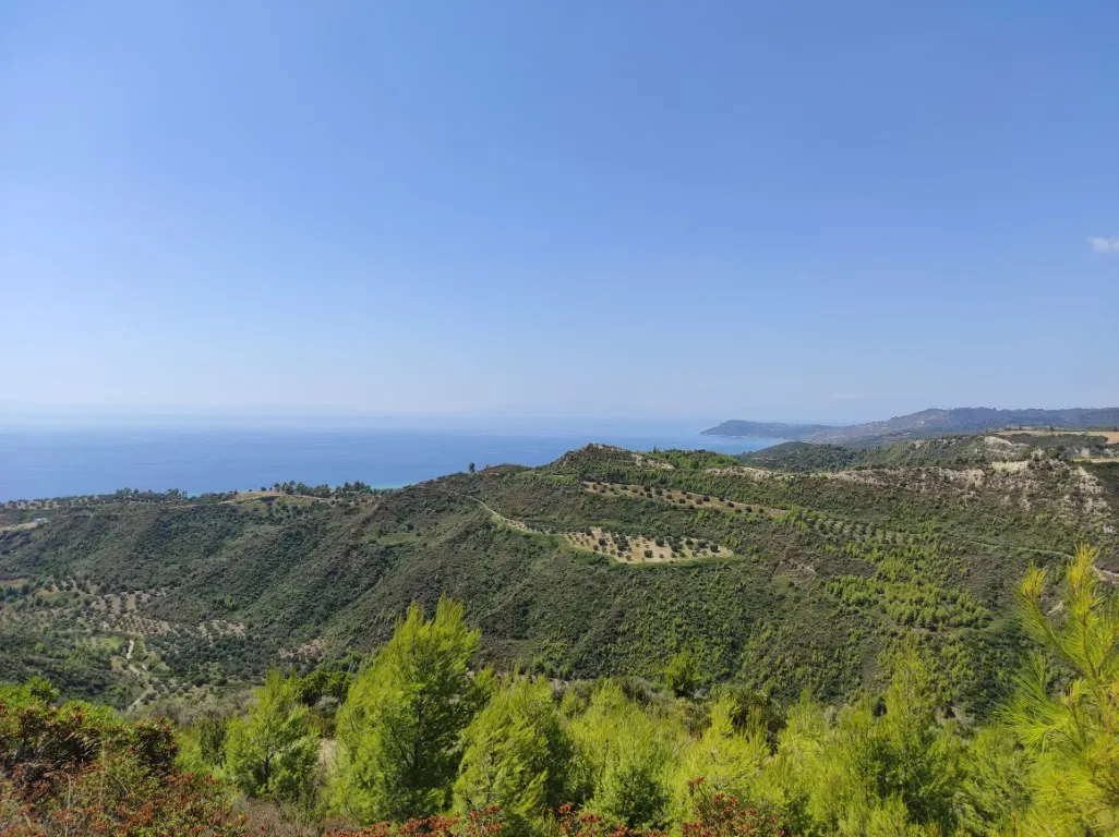 οικόπεδο προς πώληση 24215 τ.μ Κασσάνδρα Χαλκιδική