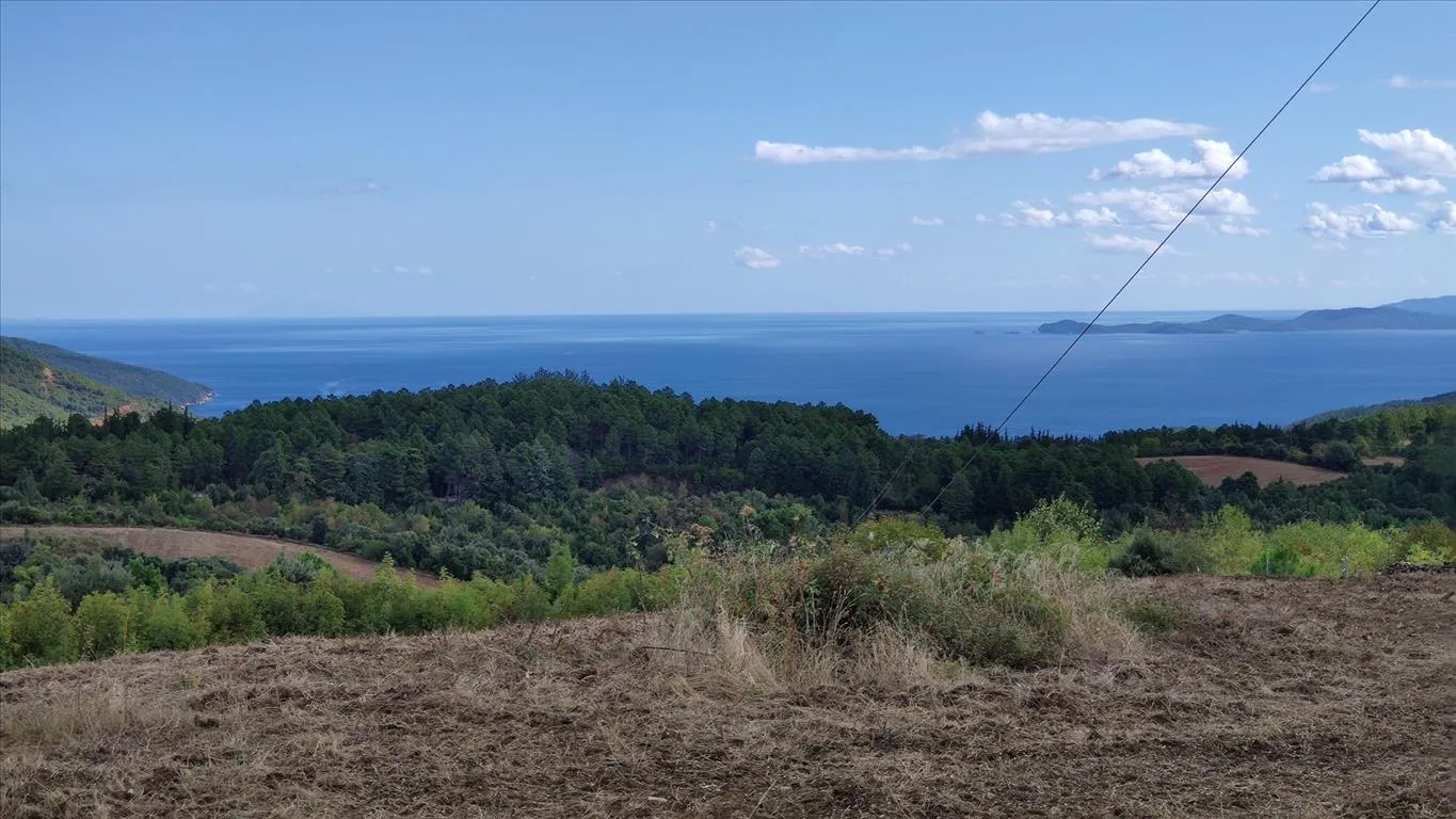 οικόπεδο προς πώληση 17000 τ.μ Αριστοτέλης Χαλκιδική