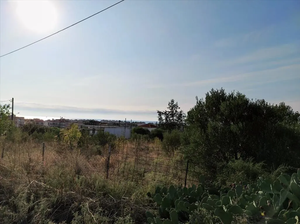 οικόπεδο προς πώληση 3685 τ.μ Νέα Προποντίδα Χαλκιδική
