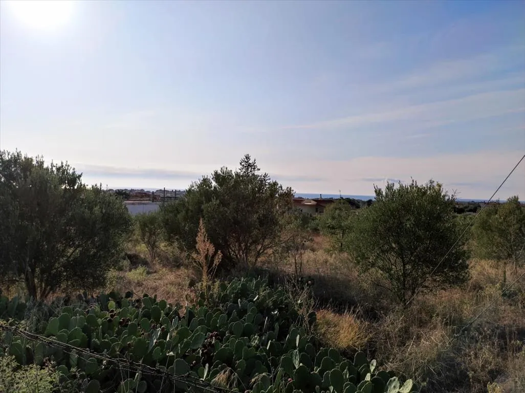 οικόπεδο προς πώληση 3685 τ.μ Νέα Προποντίδα Χαλκιδική