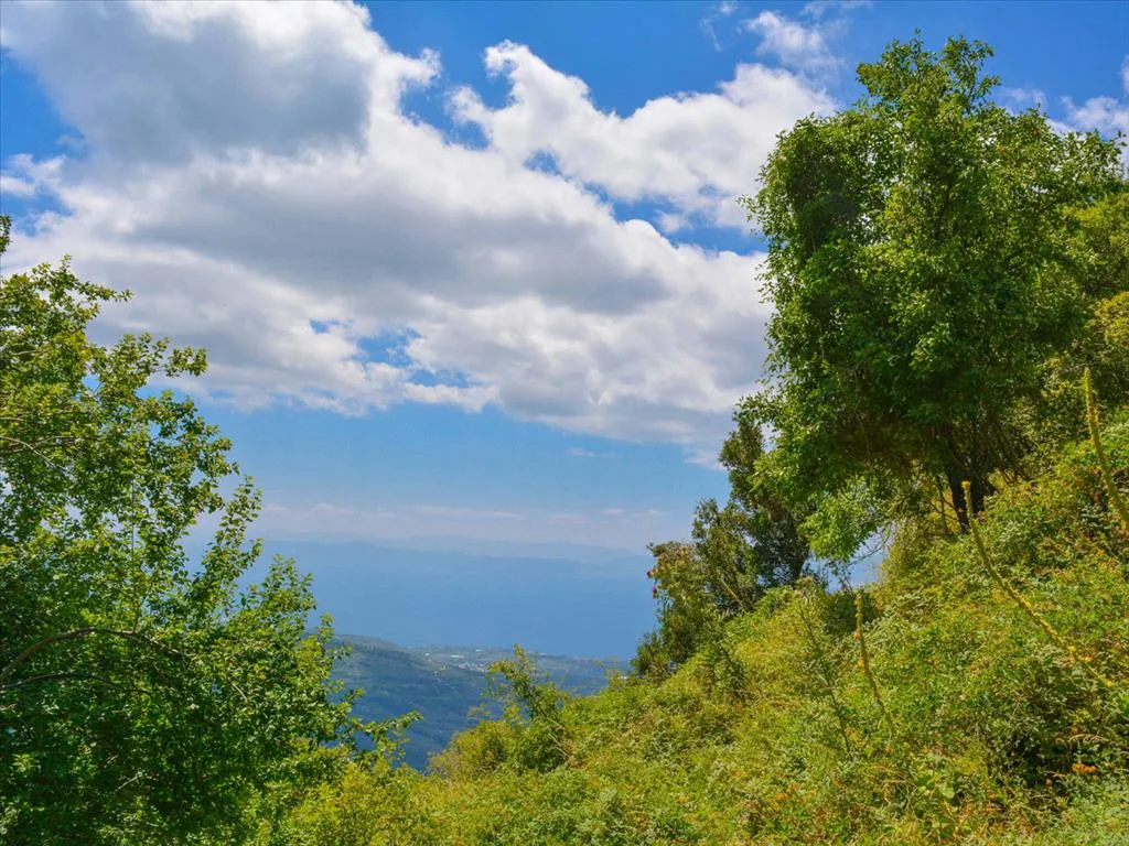 οικόπεδο προς πώληση 43000 τ.μ Ζαγορά Μαγνησία