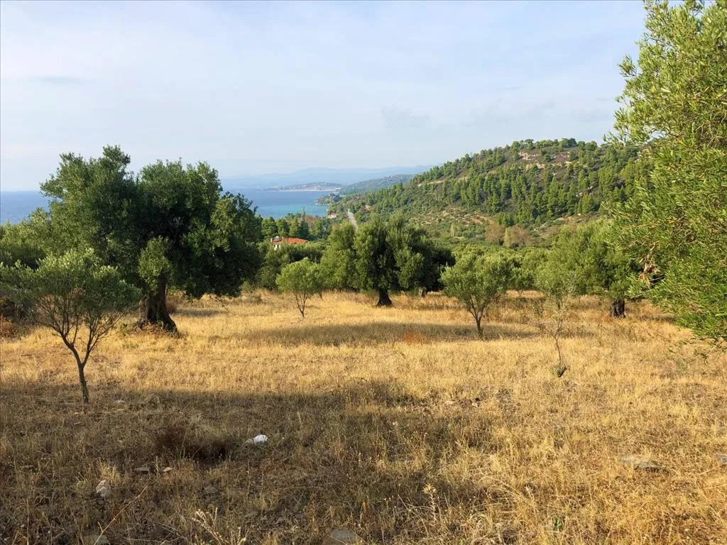 οικόπεδο προς πώληση 4078 τ.μ Σιθωνία Χαλκιδική