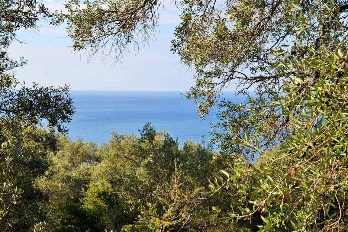 οικόπεδο προς πώληση 7606 τ.μ Κέρκυρα Νομός Κέρκυρας