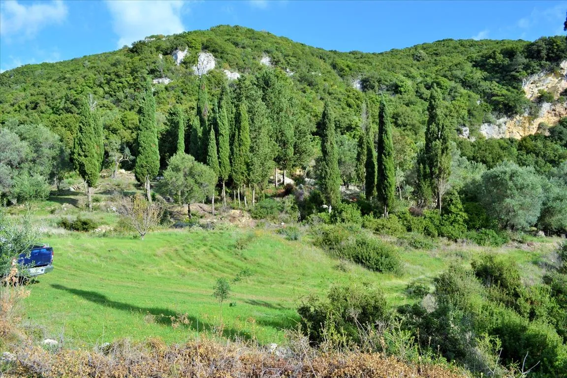 οικόπεδο προς πώληση 15000 τ.μ Κέρκυρα Νομός Κέρκυρας