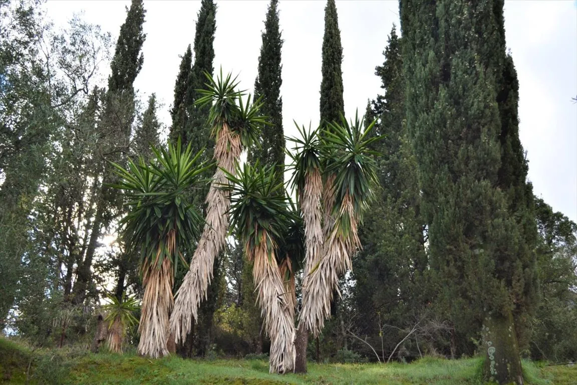 1152