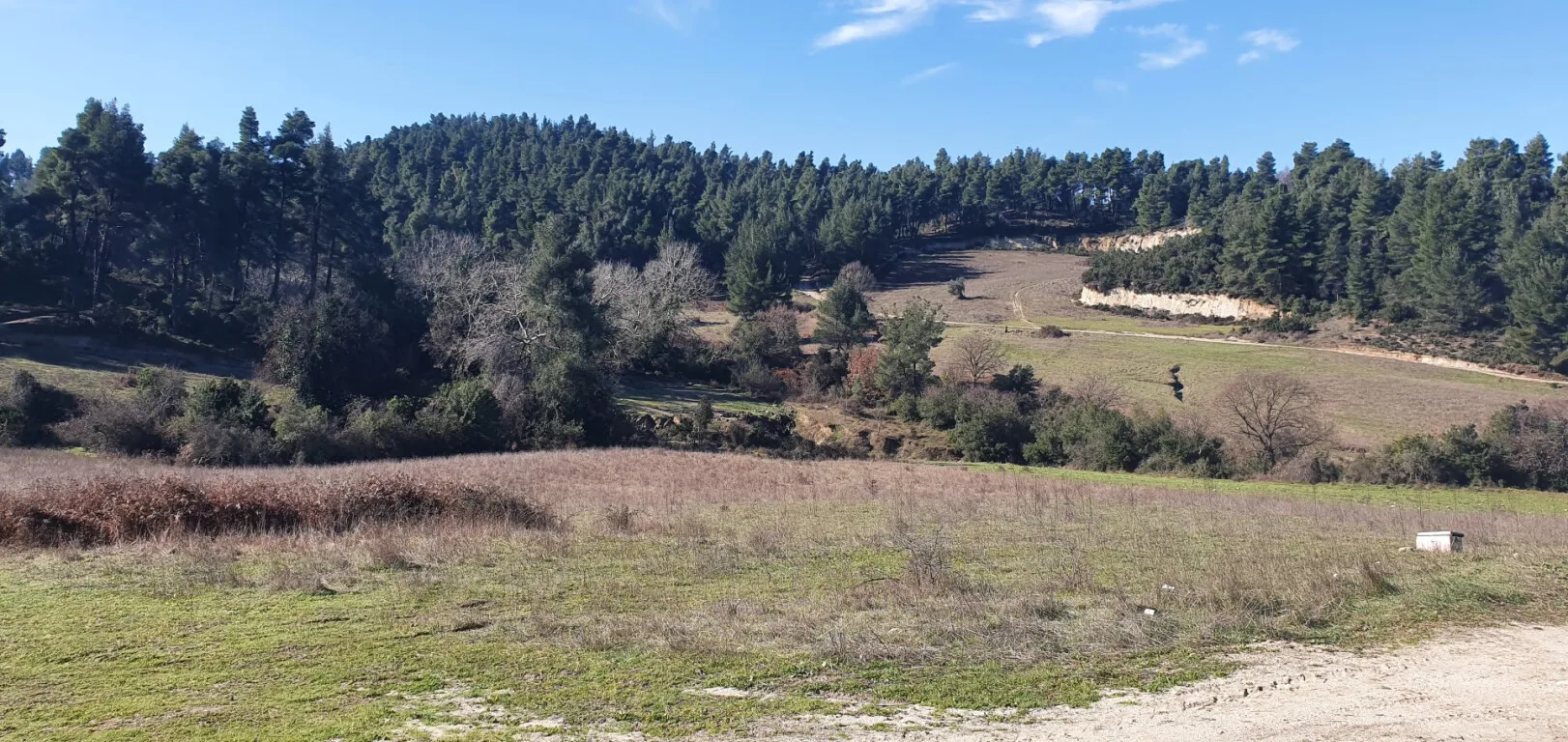 οικόπεδο προς πώληση 18000 τ.μ Κασσάνδρα Χαλκιδική
