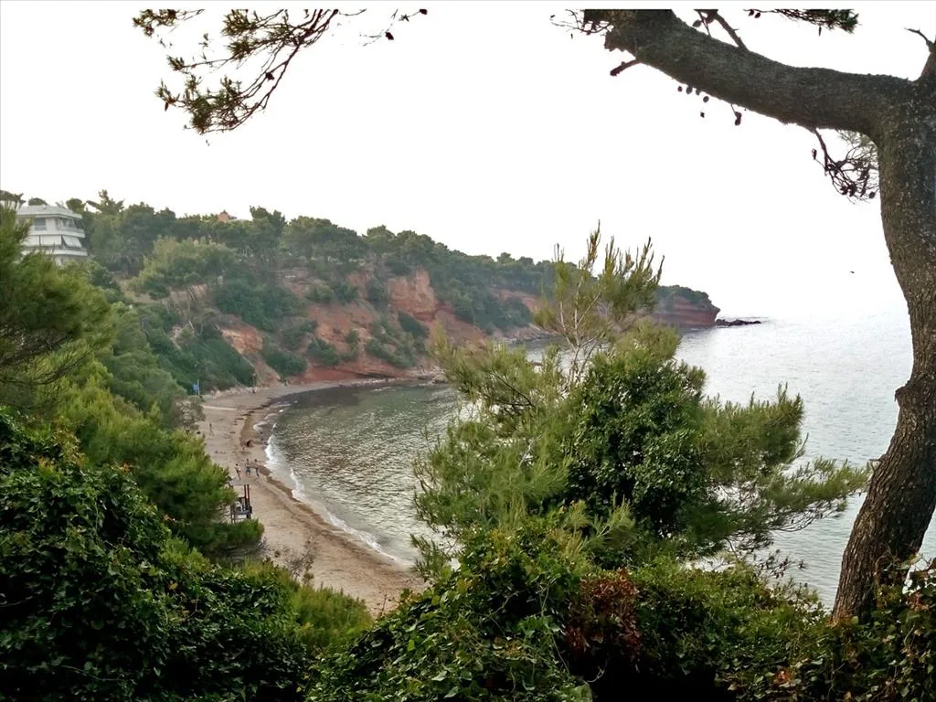 οικόπεδο προς πώληση 2000 τ.μ Ραφήνα Υπόλοιπη Αττικής