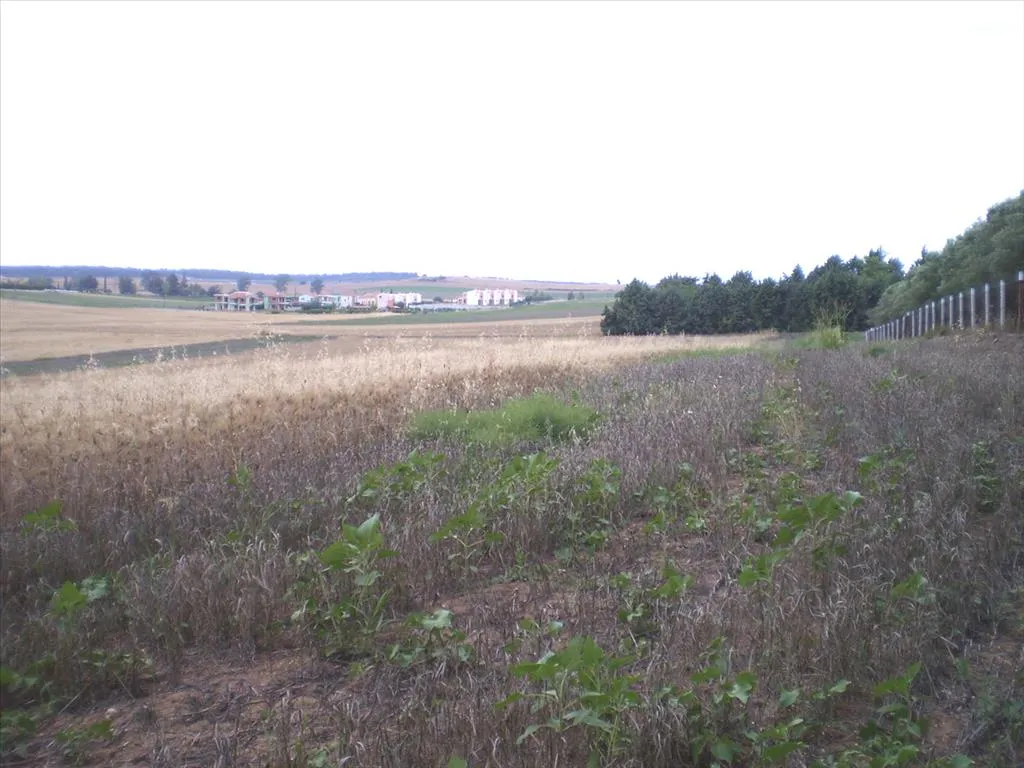 οικόπεδο προς πώληση 4370 τ.μ Κασσάνδρα Χαλκιδική