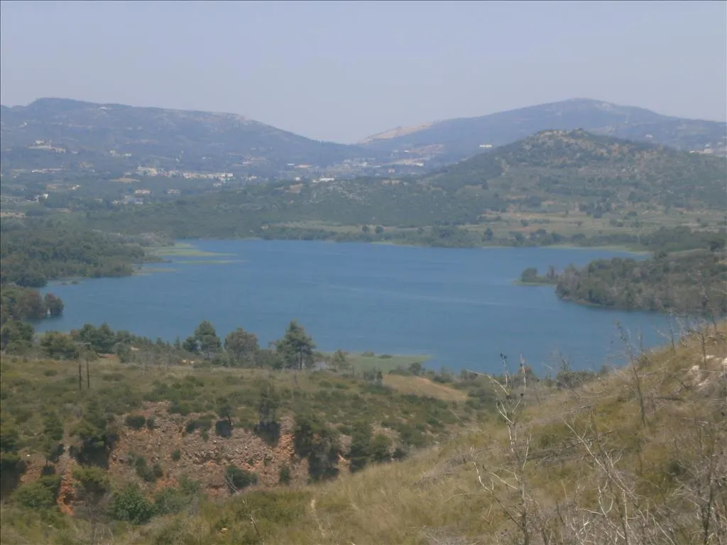οικόπεδο προς πώληση 4000 τ.μ Κοιν. Καπανδρίτι Υπόλοιπη Αττικής