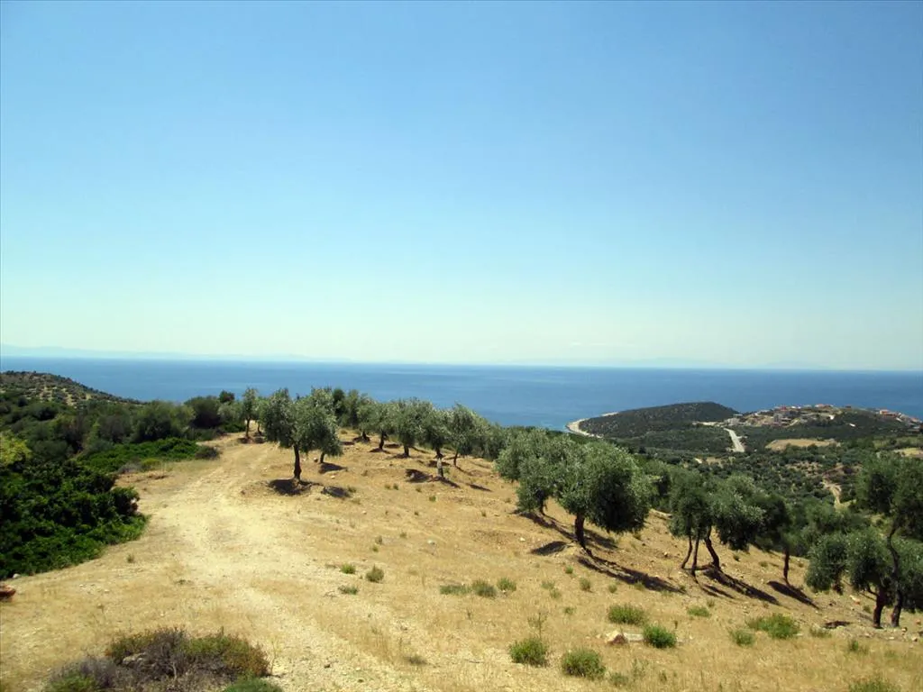 οικόπεδο προς πώληση 12000 τ.μ Θάσος Νομός Καβάλας