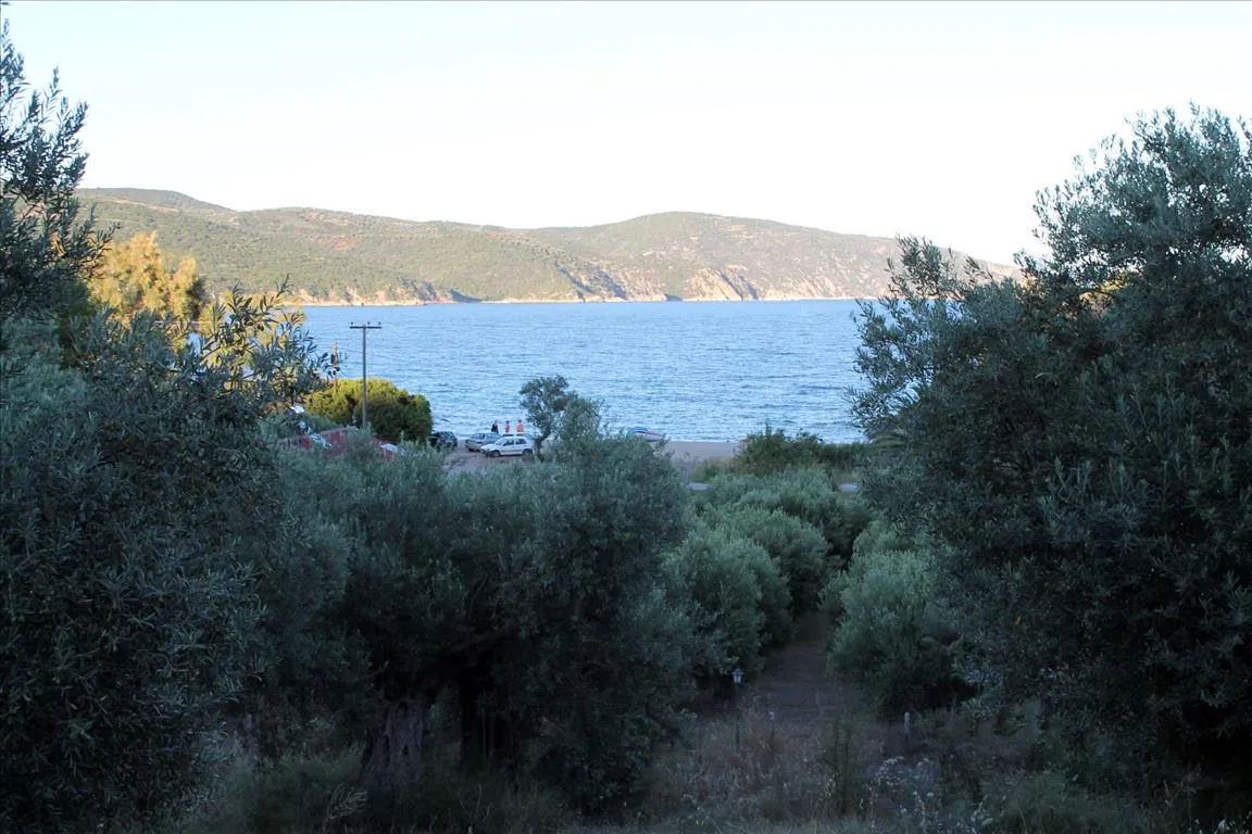 οικόπεδο προς πώληση 6450 τ.μ Αριστοτέλης Χαλκιδική