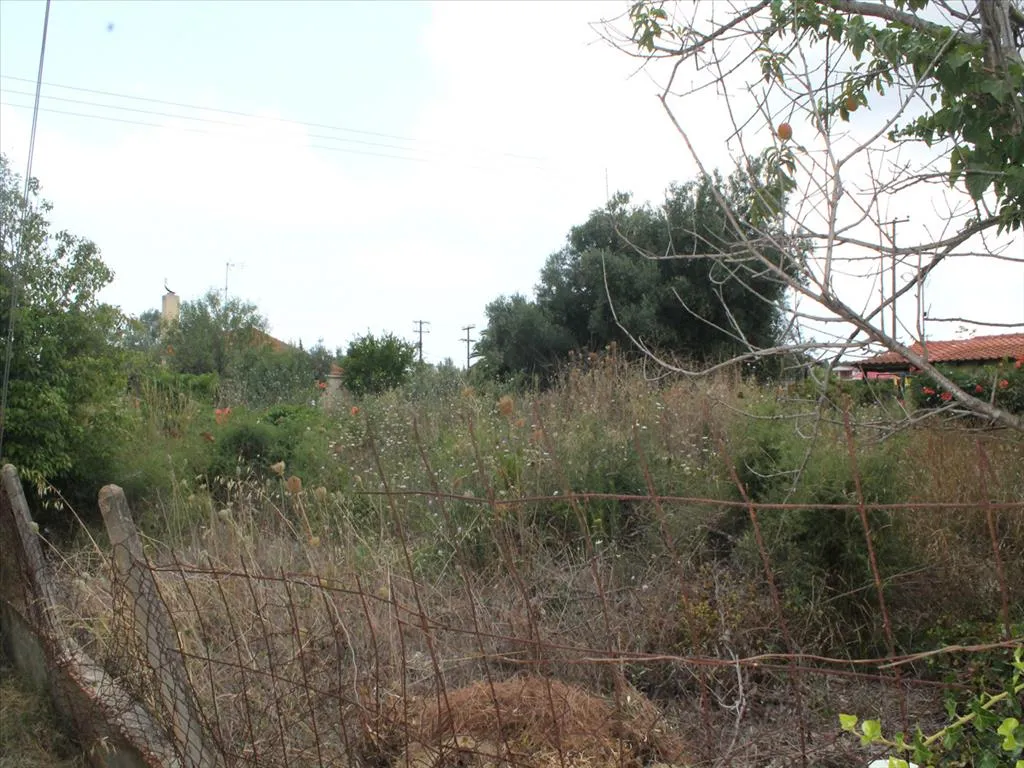 οικόπεδο προς πώληση 600 τ.μ Κασσάνδρα Χαλκιδική