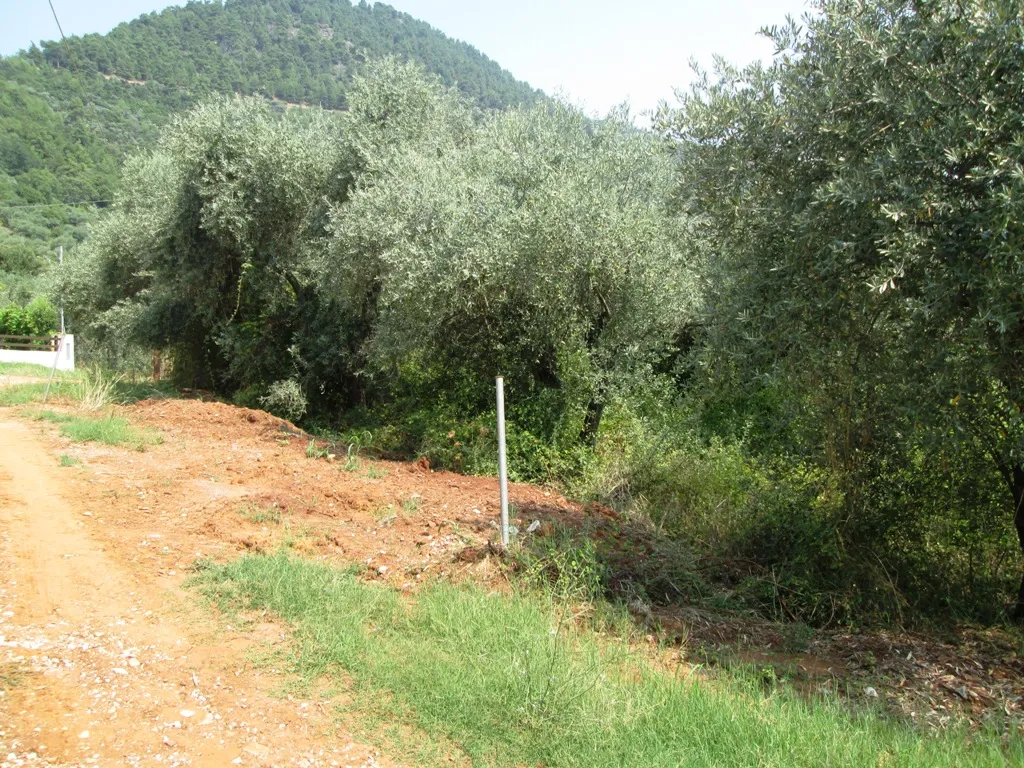οικόπεδο προς πώληση 195 τ.μ Θάσος Νομός Καβάλας