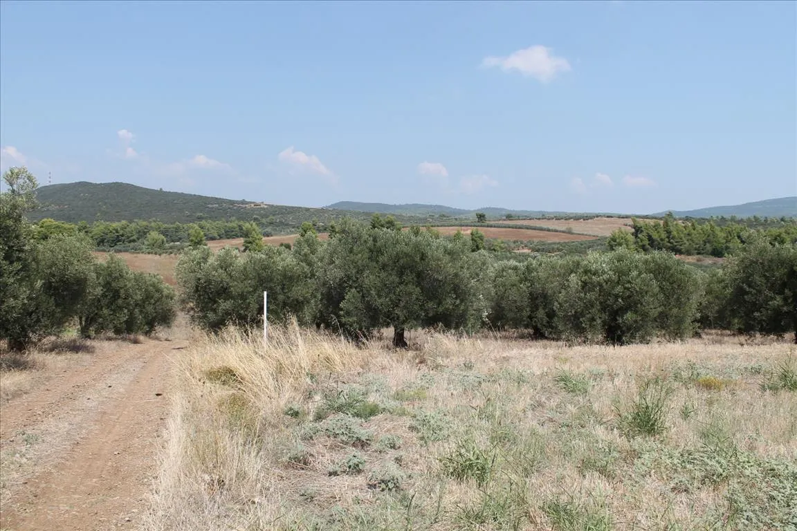 οικόπεδο προς πώληση 6915 τ.μ Πολύγυρος Χαλκιδική