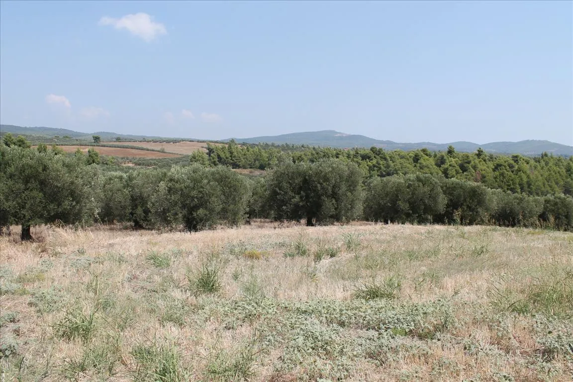 οικόπεδο προς πώληση 6915 τ.μ Πολύγυρος Χαλκιδική
