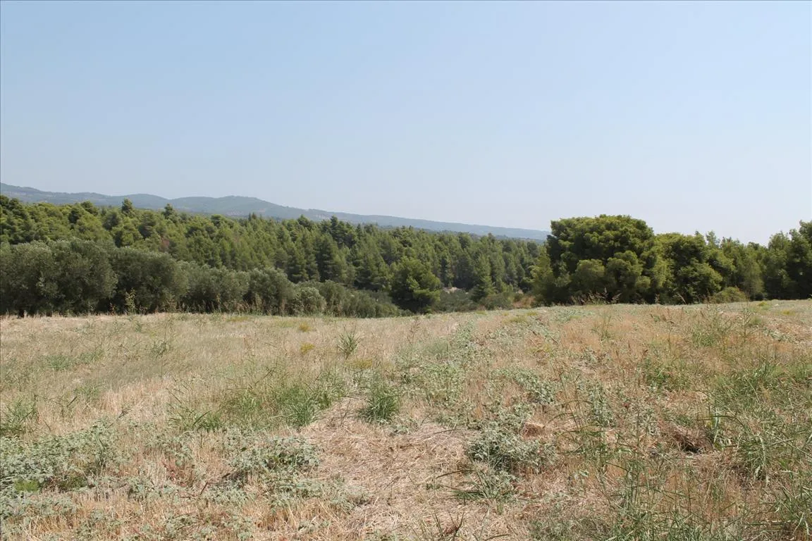 οικόπεδο προς πώληση 6915 τ.μ Πολύγυρος Χαλκιδική