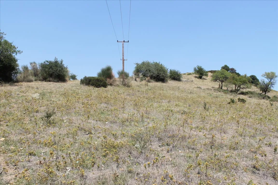οικόπεδο προς πώληση 8000 τ.μ Σιθωνία Χαλκιδική