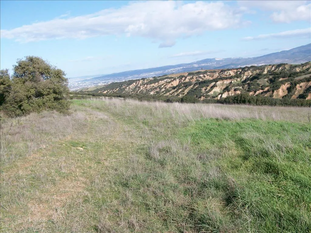 οικόπεδο προς πώληση 14500 τ.μ Θέρμη Προάστια Θεσσαλονίκης