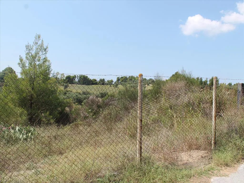 οικόπεδο προς πώληση 4025 τ.μ Κασσάνδρα Χαλκιδική