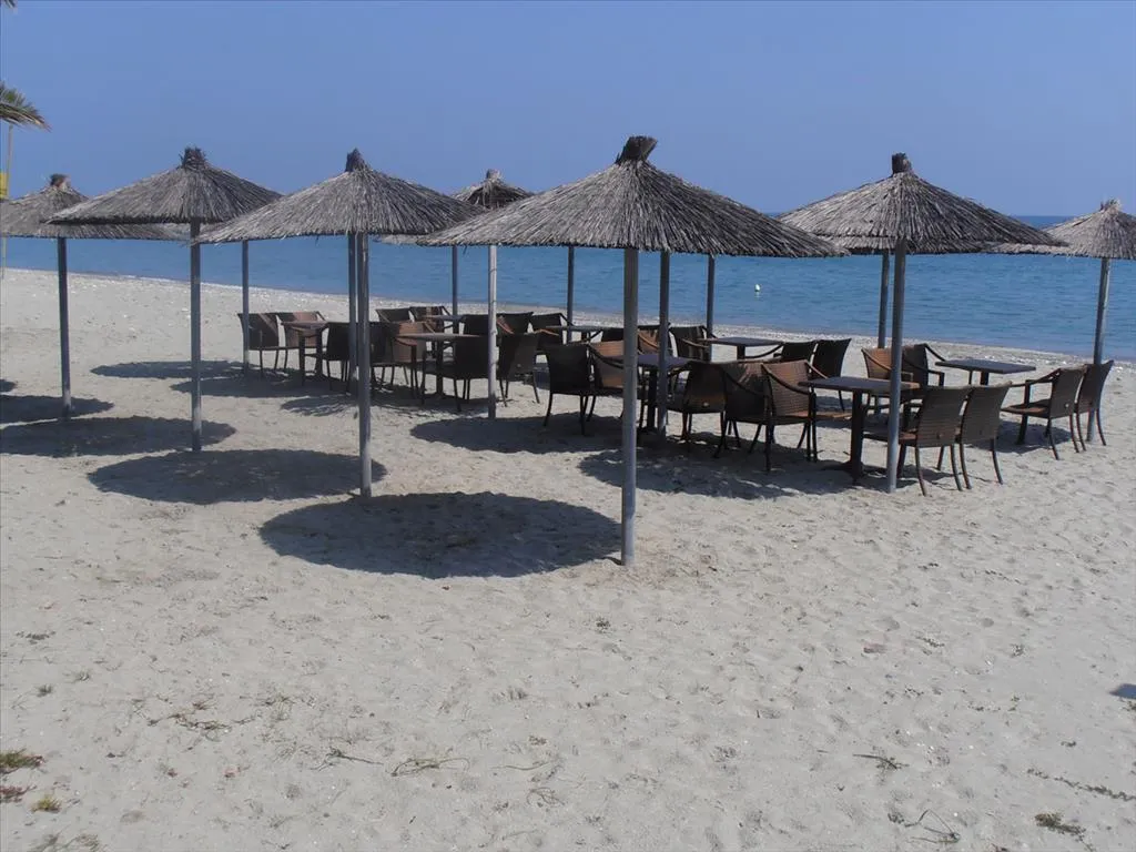επιχείρηση προς πώληση 260 τ.μ  Νομός Πιερίας