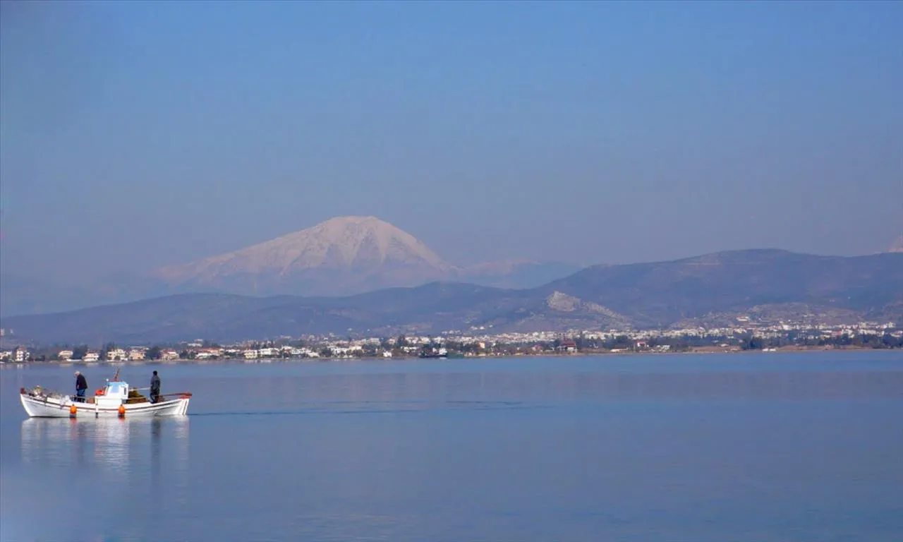 οικόπεδο προς πώληση 12000 τ.μ Αυλίδα Εύβοια