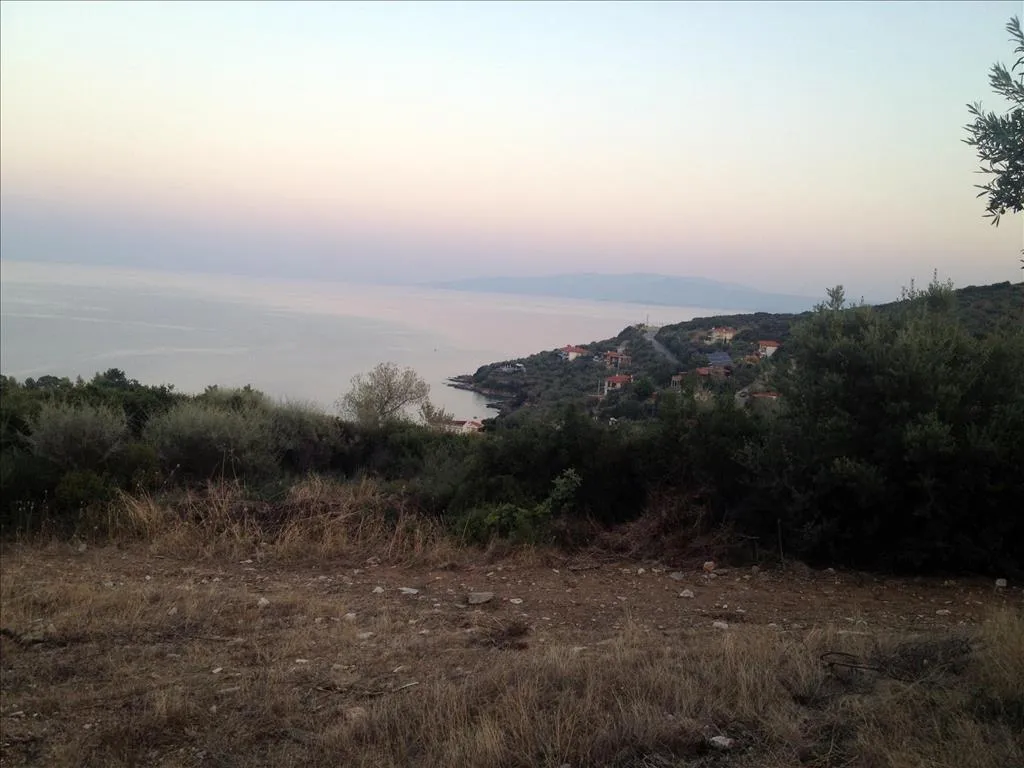 οικόπεδο προς πώληση 7070 τ.μ Αριστοτέλης Χαλκιδική