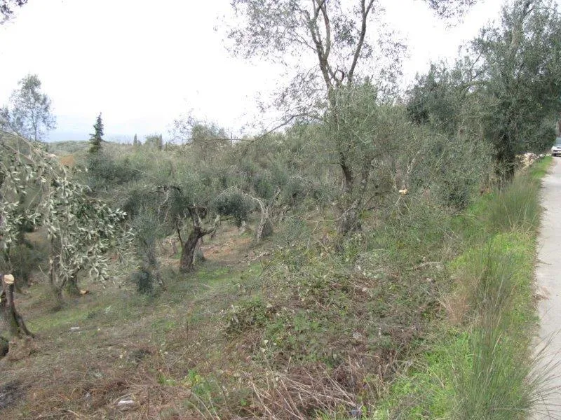 οικόπεδο προς πώληση 5015 τ.μ Κέρκυρα Νομός Κέρκυρας