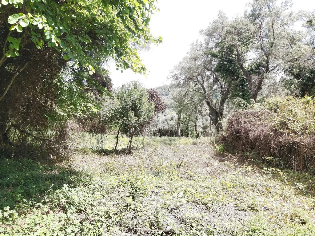 οικόπεδο προς πώληση 700 τ.μ Κέρκυρα Νομός Κέρκυρας