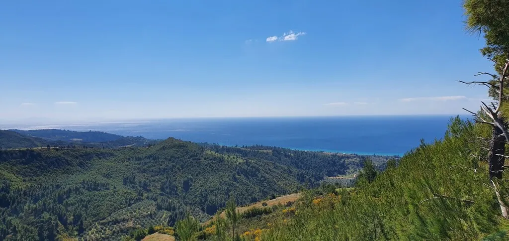 οικόπεδο προς πώληση 12000 τ.μ Κασσάνδρα Χαλκιδική